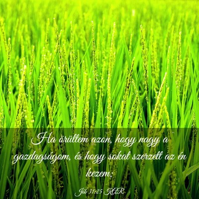 Picture 03 - Jób 31:25 KAR - Ha örültem azon, hogy nagy a gazdagságom, és - Bible Verse Picture