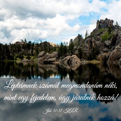 Picture 03 - Jób 31:37 KAR - Lépteimnek számát megmondanám néki, mint egy - Bible Verse Picture