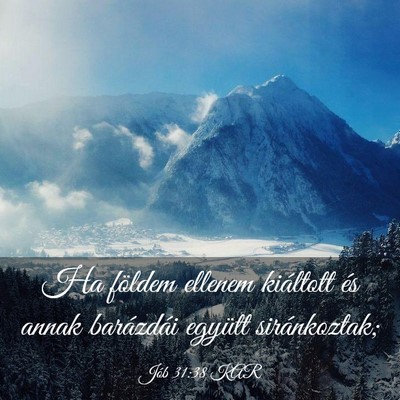 Picture 03 - Jób 31:38 KAR - Ha földem ellenem kiáltott és annak barázdái - Bible Verse Picture