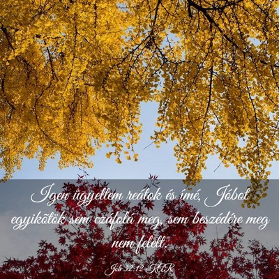 Picture 03 - Jób 32:12 KAR - Igen ügyeltem reátok és ímé, Jóbot - Bible Verse Picture
