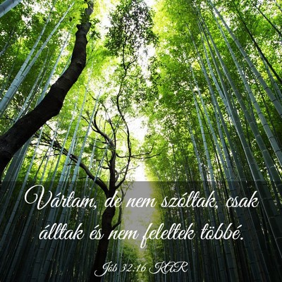 Picture 03 - Jób 32:16 KAR - Vártam, de nem szóltak, csak álltak és nem - Bible Verse Picture