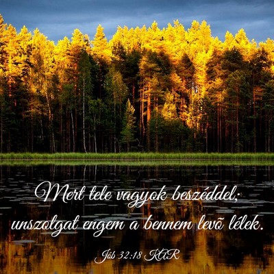 Picture 03 - Jób 32:18 KAR - Mert tele vagyok beszéddel; unszolgat engem a - Bible Verse Picture