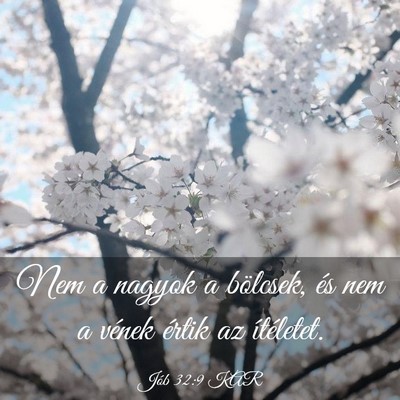 Picture 03 - Jób 32:9 KAR - Nem a nagyok a bölcsek, és nem a vének értik - Bible Verse Picture