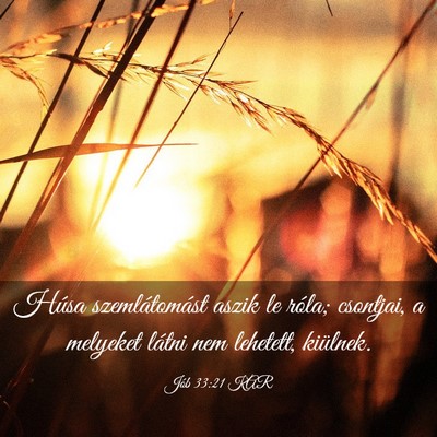 Picture 03 - Jób 33:21 KAR - Húsa szemlátomást aszik le róla; csontjai, a - Bible Verse Picture