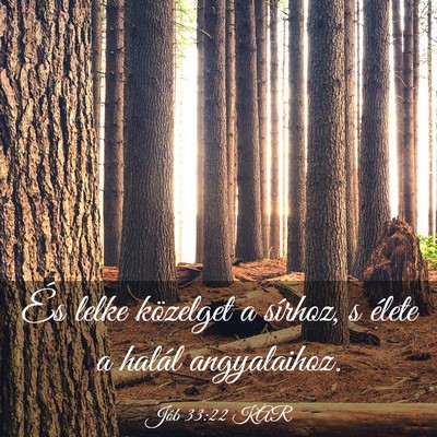 Picture 03 - Jób 33:22 KAR - És lelke közelget a sírhoz, s élete a halál - Bible Verse Picture