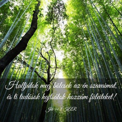 Picture 03 - Jób 34:2 KAR - Halljátok meg bölcsek az én szavaimat, és ti - Bible Verse Picture