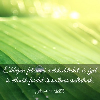 Picture 03 - Jób 34:25 KAR - Ekképen felismeri cselekedeteiket, és éjjel is - Bible Verse Picture