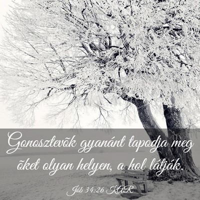 Picture 03 - Jób 34:26 KAR - Gonosztevõk gyanánt tapodja meg õket olyan - Bible Verse Picture