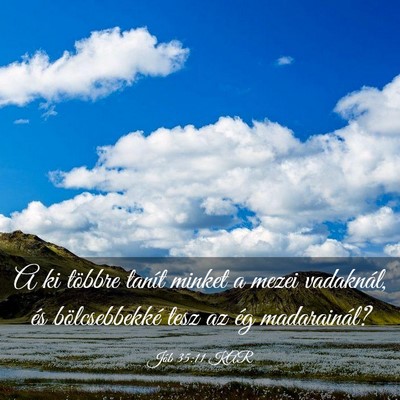 Picture 03 - Jób 35:11 KAR - A ki többre tanít minket a mezei vadaknál, és - Bible Verse Picture