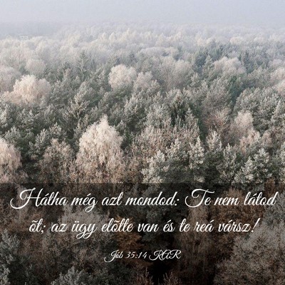 Picture 03 - Jób 35:14 KAR - Hátha még azt mondod: Te nem látod õt; az - Bible Verse Picture