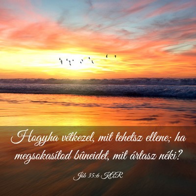 Picture 03 - Jób 35:6 KAR - Hogyha vétkezel, mit tehetsz ellene; ha - Bible Verse Picture
