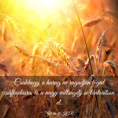 Picture 03 - Jób 36:18 KAR - Csakhogy a harag ne ragadjon téged - Bible Verse Picture