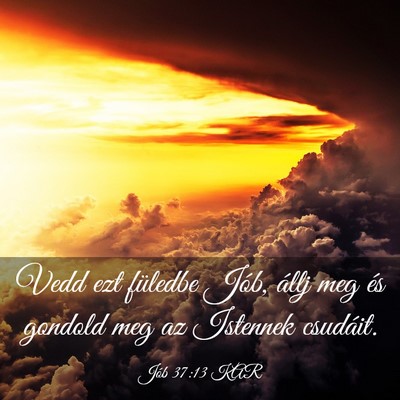 Picture 03 - Jób 37:13 KAR - Vedd ezt füledbe Jób, állj meg és gondold meg - Bible Verse Picture