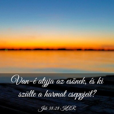 Picture 03 - Jób 38:28 KAR - Van-é atyja az esõnek, és ki szülte a harmat - Bible Verse Picture