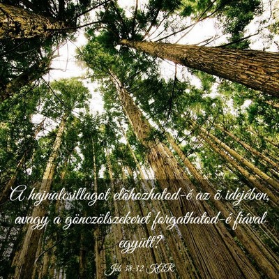Picture 03 - Jób 38:32 KAR - A hajnalcsillagot elõhozhatod-é az õ - Bible Verse Picture