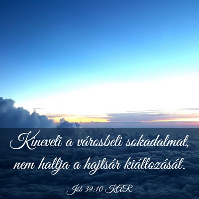 Picture 03 - Jób 39:10 KAR - Kineveti a városbeli sokadalmat, nem hallja a - Bible Verse Picture