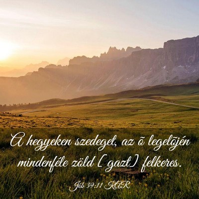 Picture 03 - Jób 39:11 KAR - A hegyeken szedeget, az õ legelõjén - Bible Verse Picture