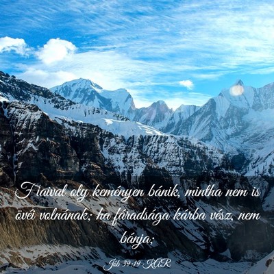 Picture 03 - Jób 39:19 KAR - Fiaival oly keményen bánik, mintha nem is - Bible Verse Picture