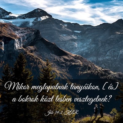 Picture 03 - Jób 39:2 KAR - Mikor meglapulnak tanyáikon, [és] a bokrok - Bible Verse Picture