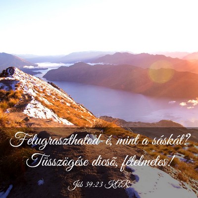 Picture 03 - Jób 39:23 KAR - Felugraszthatod-é, mint a sáskát? - Bible Verse Picture