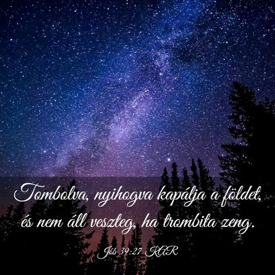 Picture 03 - Jób 39:27 KAR - Tombolva, nyihogva kapálja a földet, és nem - Bible Verse Picture