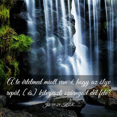 Picture 03 - Jób 39:29 KAR - A te értelmed miatt van-é, hogy az ölyv - Bible Verse Picture