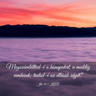 Picture 03 - Jób 39:5 KAR - Megszámláltad-é a hónapokat, a meddig - Bible Verse Picture