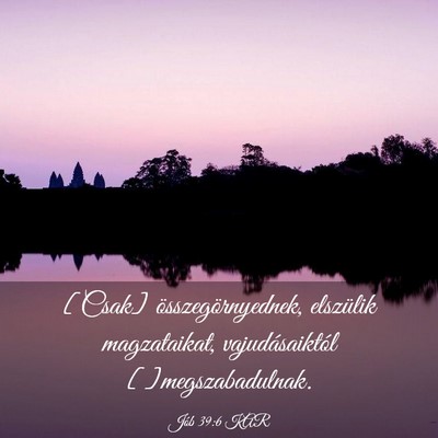Picture 03 - Jób 39:6 KAR - [Csak] összegörnyednek, elszülik magzataikat, - Bible Verse Picture