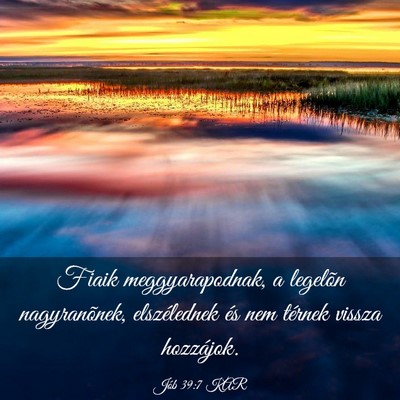 Picture 03 - Jób 39:7 KAR - Fiaik meggyarapodnak, a legelõn nagyranõnek, - Bible Verse Picture