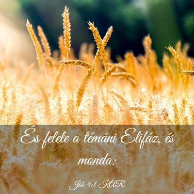 Picture 03 - Jób 4:1 KAR - És felele a témáni Elifáz, és - Bible Verse Picture