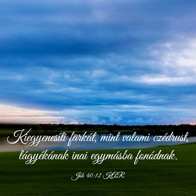 Picture 03 - Jób 40:12 KAR - Kiegyenesíti farkát, mint valami czédrust, - Bible Verse Picture