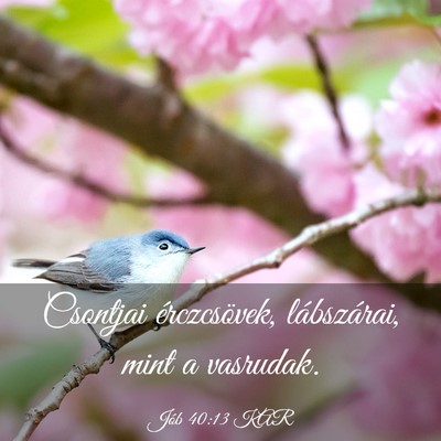 Picture 03 - Jób 40:13 KAR - Csontjai érczcsövek, lábszárai, mint a - Bible Verse Picture
