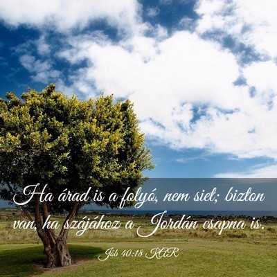 Picture 03 - Jób 40:18 KAR - Ha árad is a folyó, nem siet; bizton van, ha - Bible Verse Picture