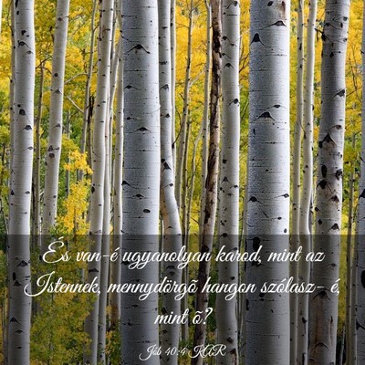 Picture 03 - Jób 40:4 KAR - És van-é ugyanolyan karod, mint az Istennek, - Bible Verse Picture