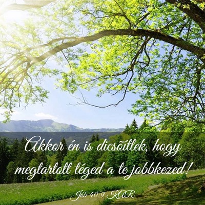 Picture 03 - Jób 40:9 KAR - Akkor én is dicsõítlek, hogy megtartott téged - Bible Verse Picture