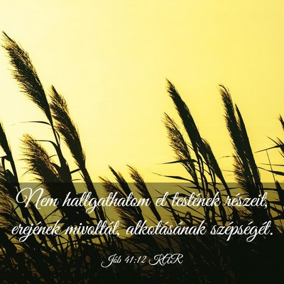 Picture 03 - Jób 41:12 KAR - Nem hallgathatom el testének részeit, erejének - Bible Verse Picture