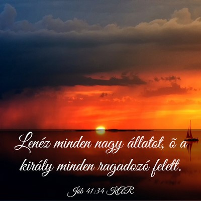 Picture 03 - Jób 41:34 KAR - Lenéz minden nagy állatot, õ a király minden - Bible Verse Picture