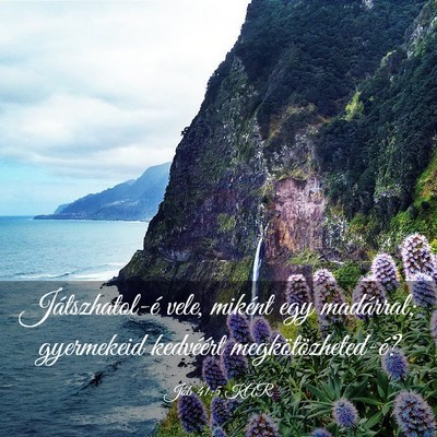 Picture 03 - Jób 41:5 KAR - Játszhatol-é vele, miként egy madárral; - Bible Verse Picture