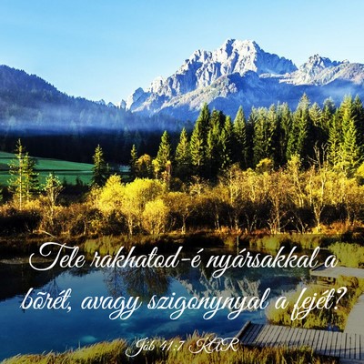 Picture 03 - Jób 41:7 KAR - Tele rakhatod-é nyársakkal a bõrét, avagy - Bible Verse Picture
