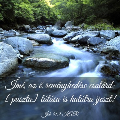 Picture 03 - Jób 41:9 KAR - Ímé, az õ reménykedése csalárd; [puszta] - Bible Verse Picture