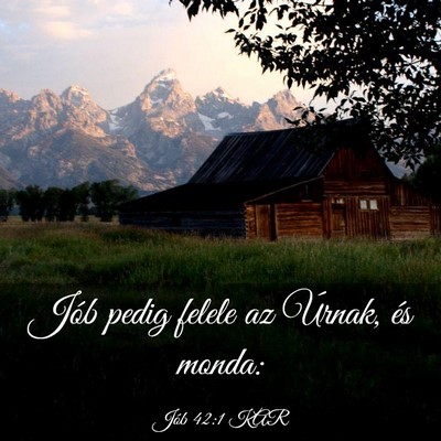 Picture 03 - Jób 42:1 KAR - Jób pedig felele az Úrnak, és - Bible Verse Picture