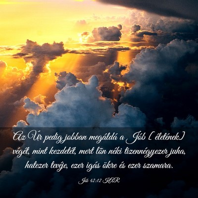 Picture 03 - Jób 42:12 KAR - Az Úr pedig jobban megáldá a Jób [életének] - Bible Verse Picture