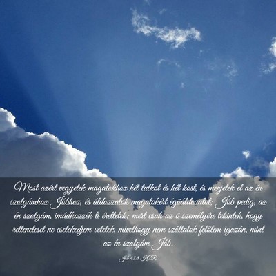 Picture 03 - Jób 42:8 KAR - Most azért vegyetek magatokhoz hét tulkot és - Bible Verse Picture