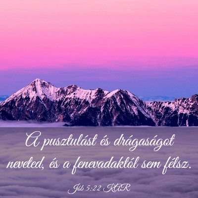 Picture 03 - Jób 5:22 KAR - A pusztulást és drágaságot neveted, és a - Bible Verse Picture