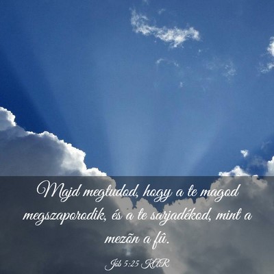 Picture 03 - Jób 5:25 KAR - Majd megtudod, hogy a te magod megszaporodik, és - Bible Verse Picture