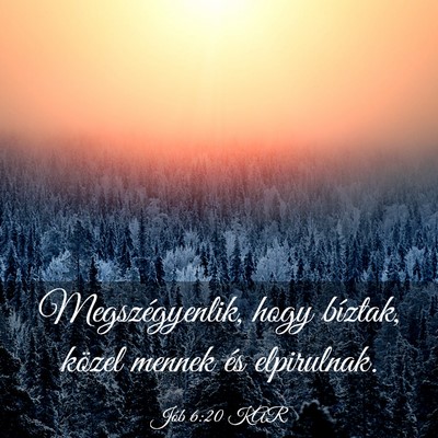 Picture 03 - Jób 6:20 KAR - Megszégyenlik, hogy bíztak, közel mennek és - Bible Verse Picture
