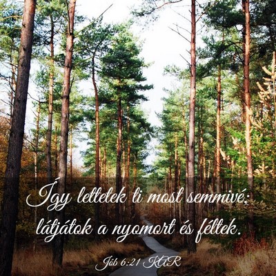 Picture 03 - Jób 6:21 KAR - Így lettetek ti most semmivé; látjátok a - Bible Verse Picture