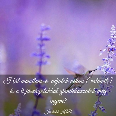 Picture 03 - Jób 6:22 KAR - Hát mondtam-é: adjatok nékem [valamit,] és a - Bible Verse Picture