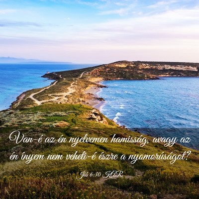 Picture 03 - Jób 6:30 KAR - Van-é az én nyelvemen hamisság, avagy az én - Bible Verse Picture