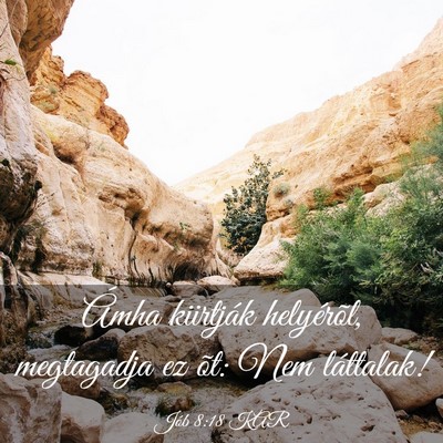 Picture 03 - Jób 8:18 KAR - Ámha kiirtják helyérõl, megtagadja ez õt: - Bible Verse Picture